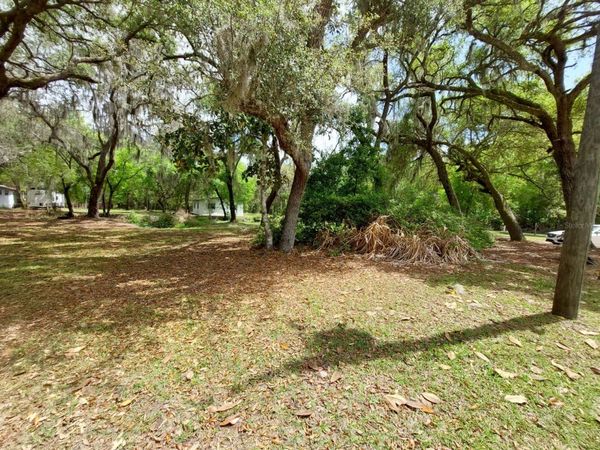 18625 NE 238TH TERRACE , FORT MC COY, FL 32134
