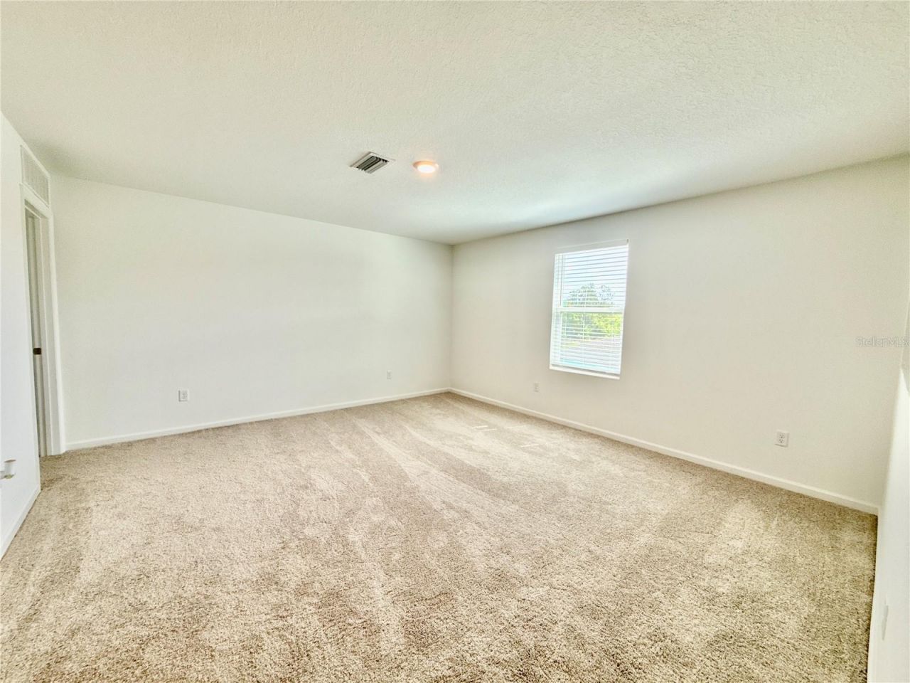 35657 Buttonweed Trail, Zephyrhills, FL 33541 Photo