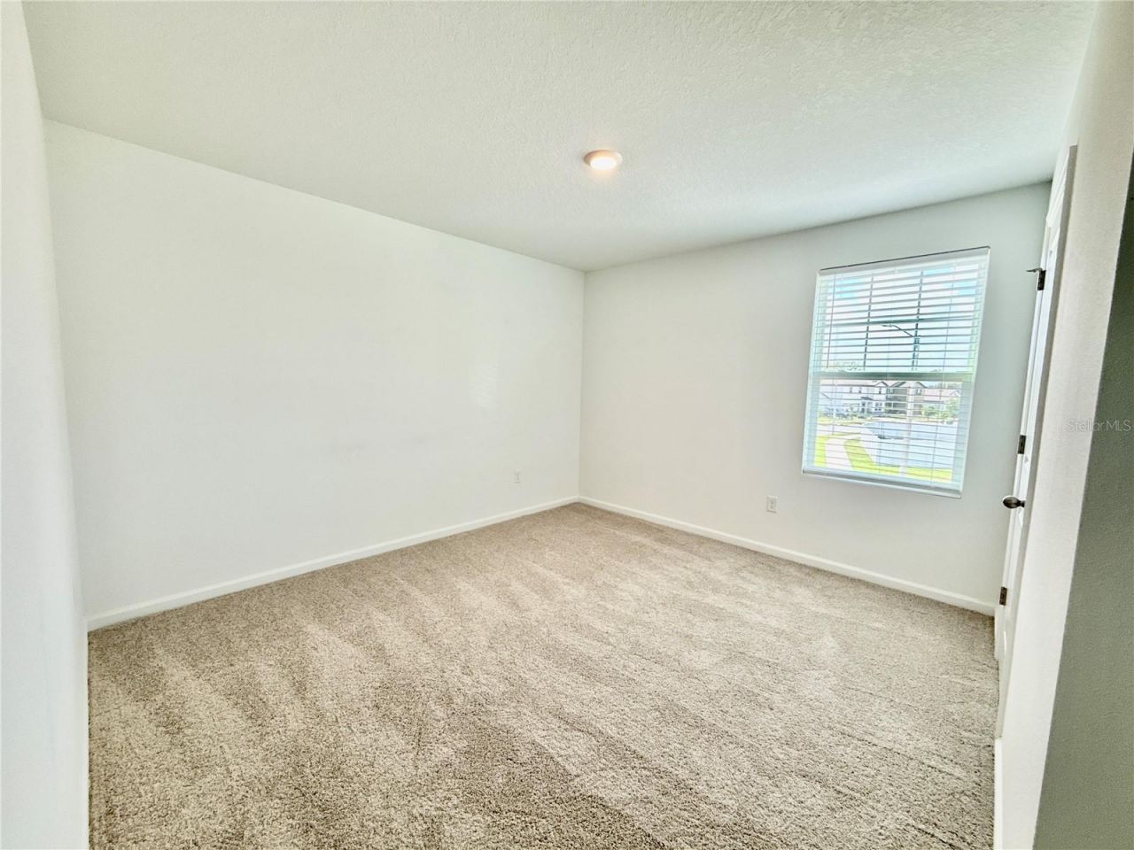 35657 Buttonweed Trail, Zephyrhills, FL 33541 Photo