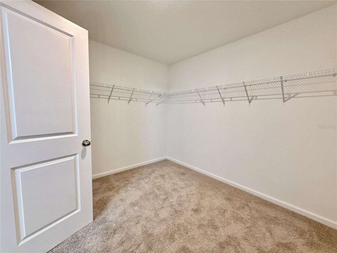 35657 Buttonweed Trail, Zephyrhills, FL 33541 Photo