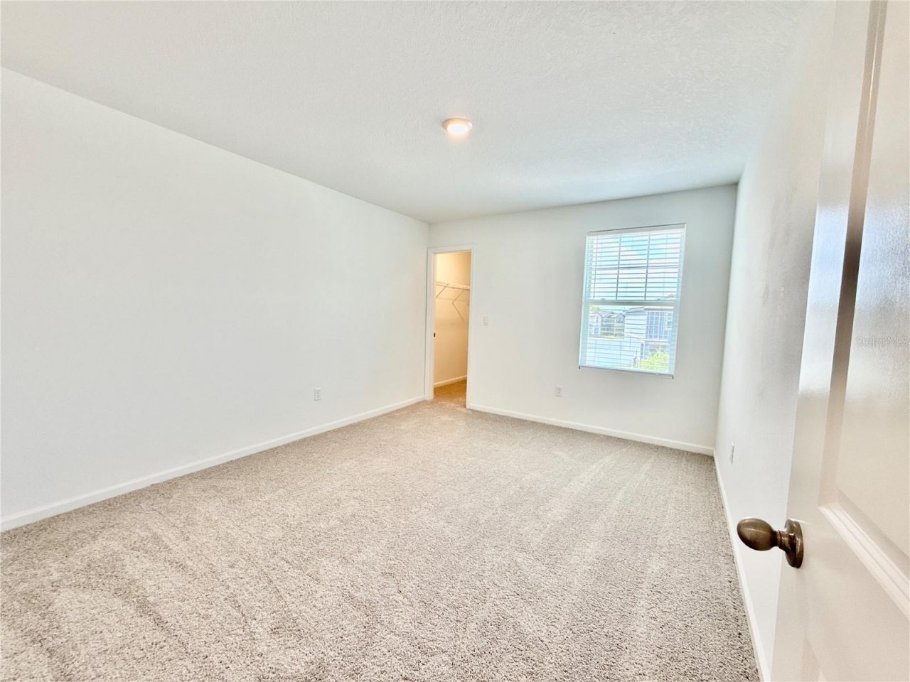 35657 Buttonweed Trail, Zephyrhills, FL 33541 Photo