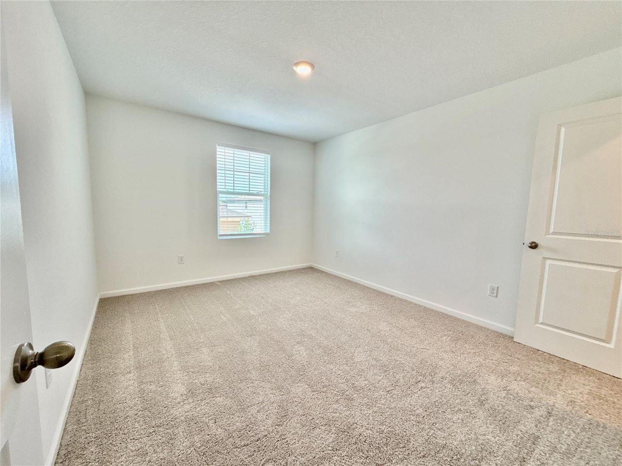 35657 Buttonweed Trail, Zephyrhills, FL 33541 Photo