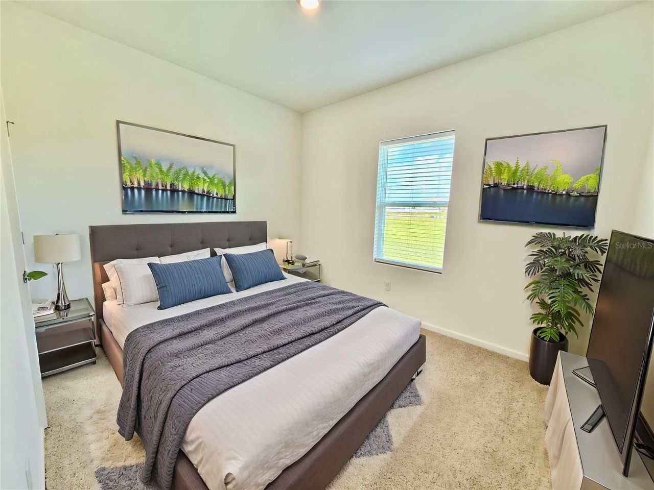 35657 Buttonweed Trail, Zephyrhills, FL 33541 Photo