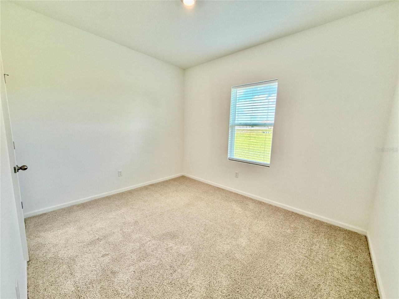 35657 Buttonweed Trail, Zephyrhills, FL 33541 Photo