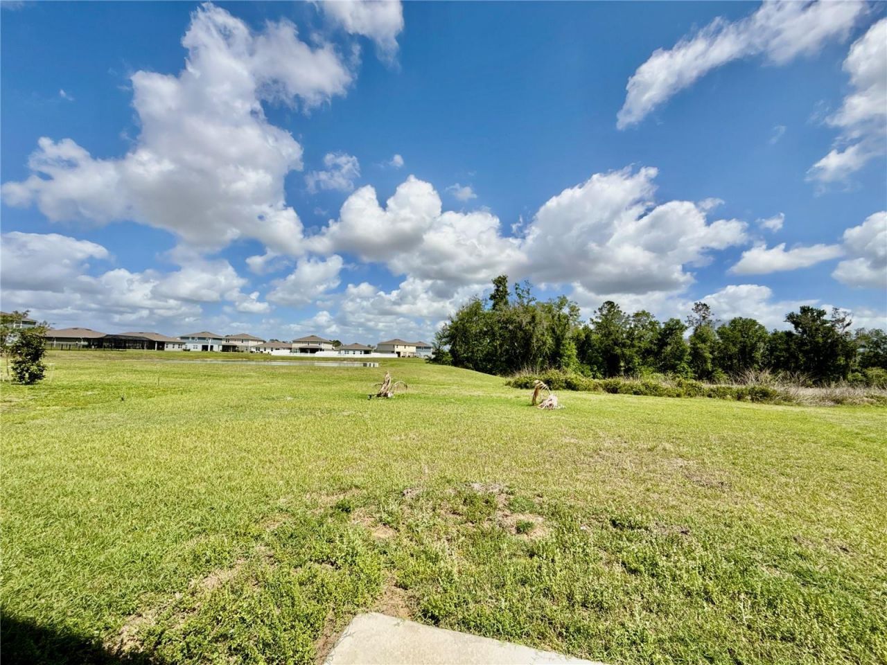 35657 Buttonweed Trail, Zephyrhills, FL 33541 Photo