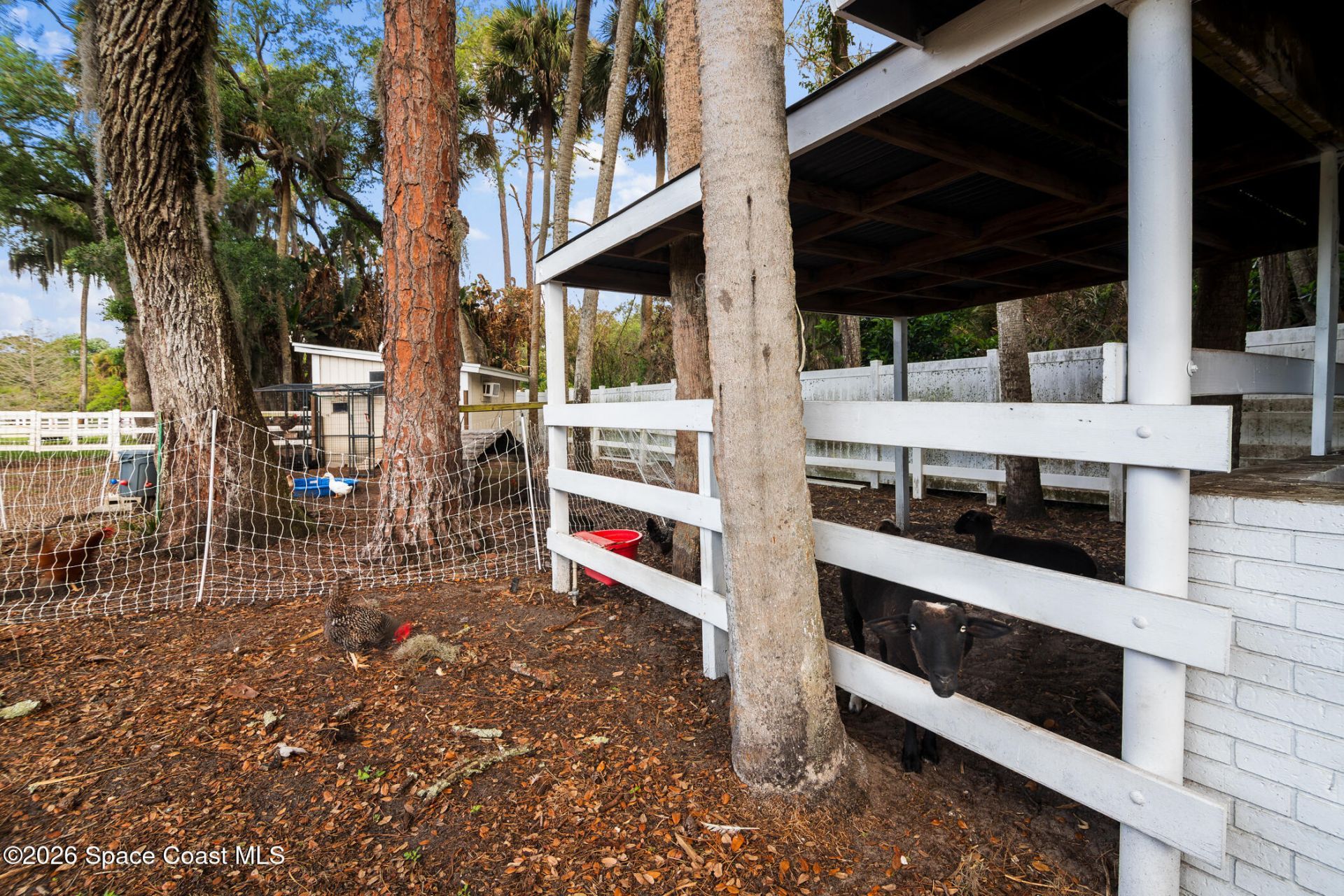 2885 Turtle Mound Road , Melbourne, FL 32934 Photo