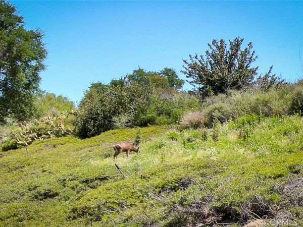 85 Mira Mesa, Rancho Santa Margarita, CA 92688