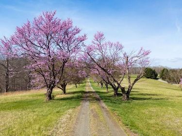 Lot 17R MIMOSA LN , Faber, VA 22938