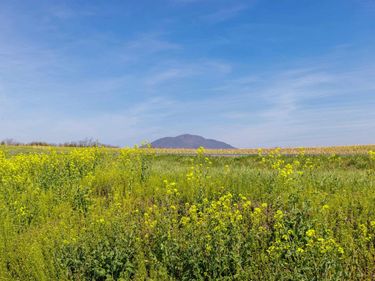 0 MILL CREEK CHURCH RD, PORT REPUBLIC, VA 24471