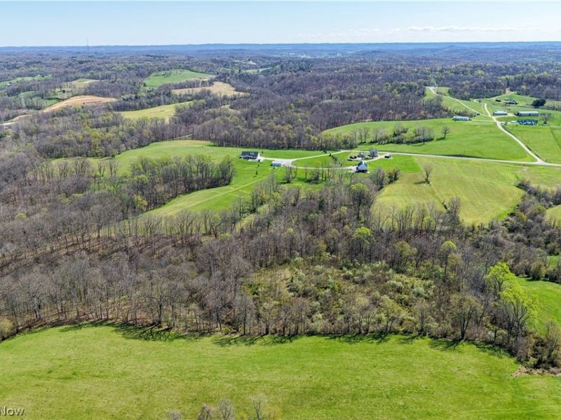 29981 Bashan Road, Racine, OH 45771 Photo 38