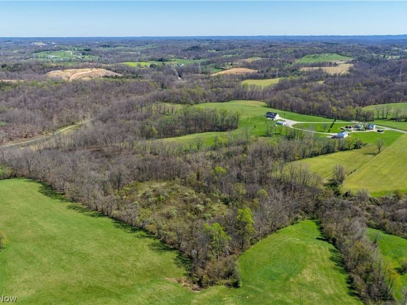 29981 Bashan Road, Racine, OH 45771 Photo 39