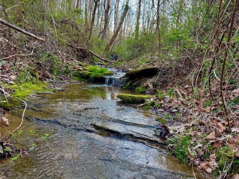 29981 Bashan Road, Racine, OH 45771 Photo 40