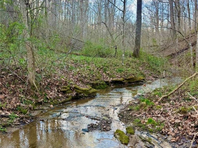 29981 Bashan Road, Racine, OH 45771 Photo 41