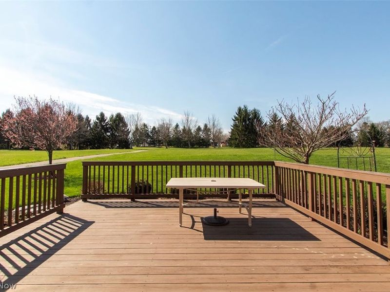 4004 Hedgewood Drive, Medina, OH 44256 Photo 27