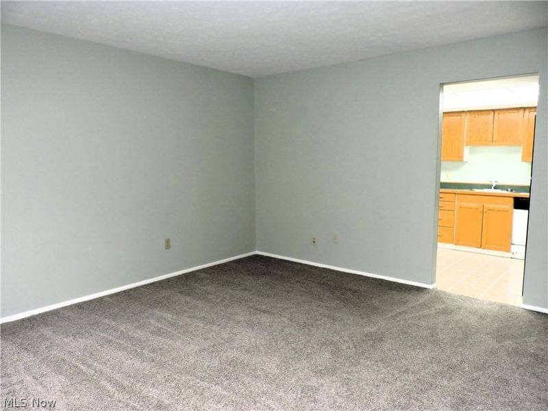 26740 Lake of the Falls Boulevard, Olmsted Falls, OH 44138 Photo 3