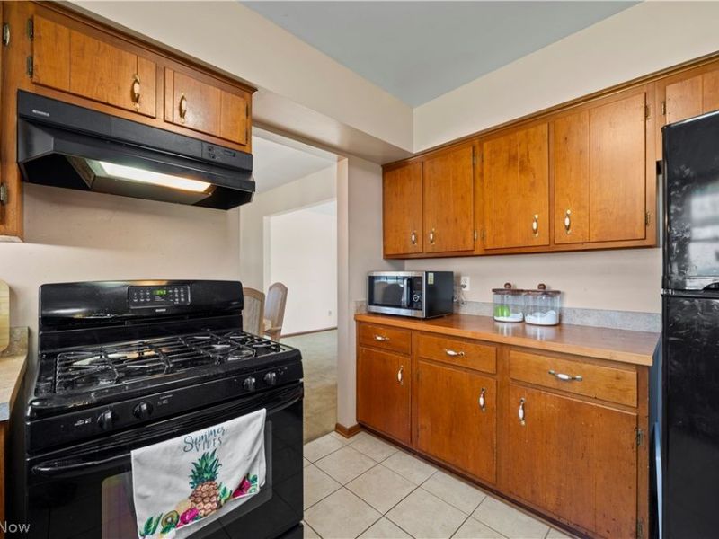 142 Brookvalley Drive , Elyria, OH 44035 Photo 6