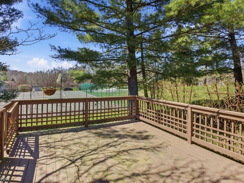 8163 Stoney Brook Drive, Chagrin Falls, OH 44023 Photo 21