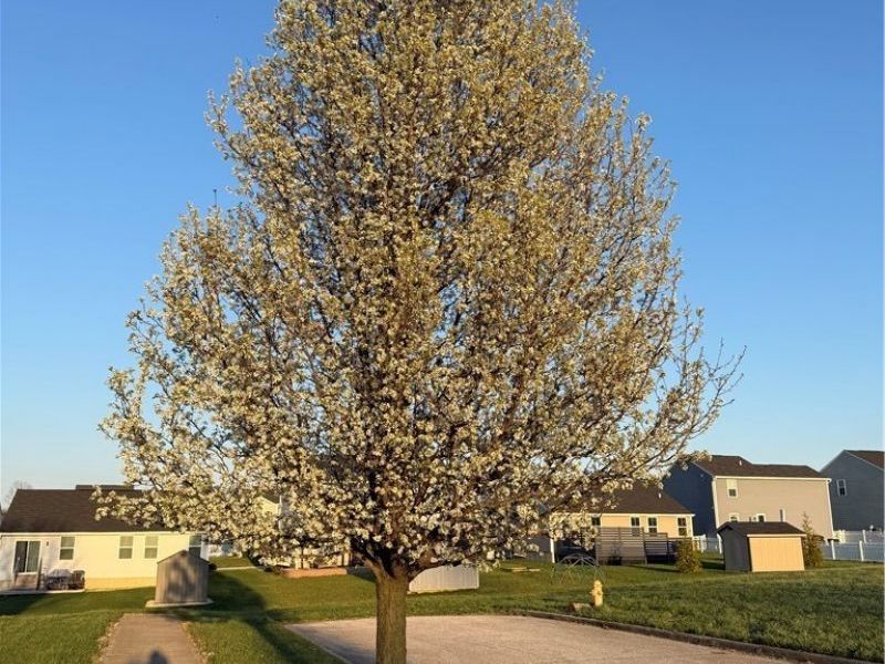 5245 Monroe Square E, Barberton, OH 44203 Photo 29