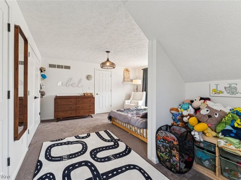 10636 Clapsaddle Avenue NE, Alliance, OH 44601 Photo 21