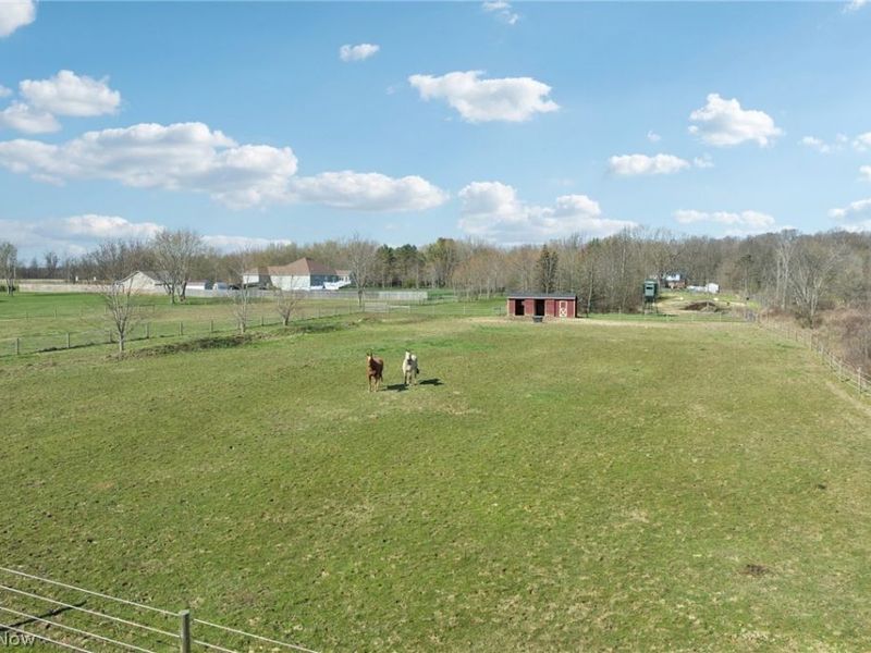 10636 Clapsaddle Avenue NE, Alliance, OH 44601 Photo 26