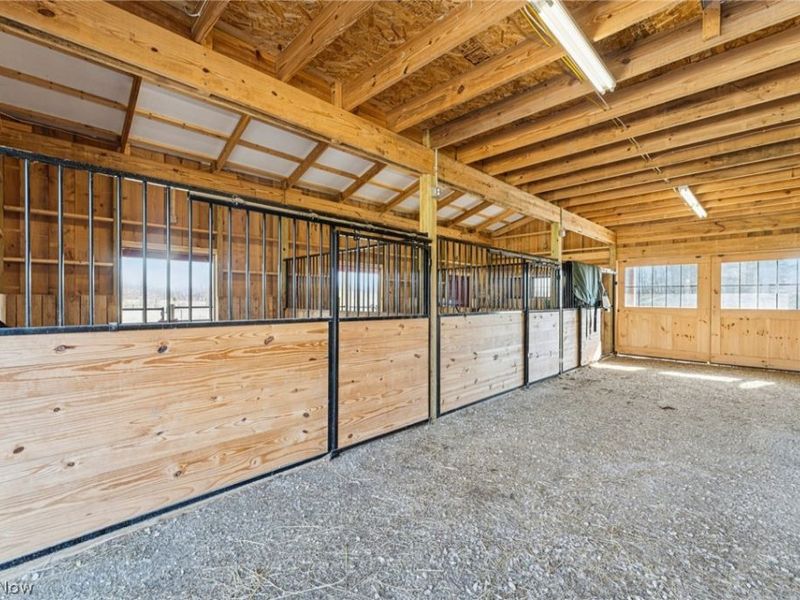 10636 Clapsaddle Avenue NE, Alliance, OH 44601 Photo 31