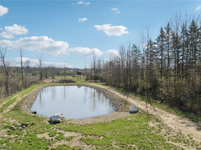 10636 Clapsaddle Avenue NE, Alliance, OH 44601 Photo 40