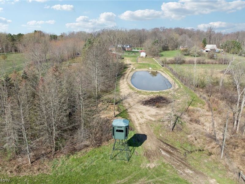 10636 Clapsaddle Avenue NE, Alliance, OH 44601 Photo 44