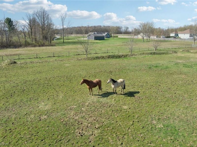 10636 Clapsaddle Avenue NE, Alliance, OH 44601 Photo 6