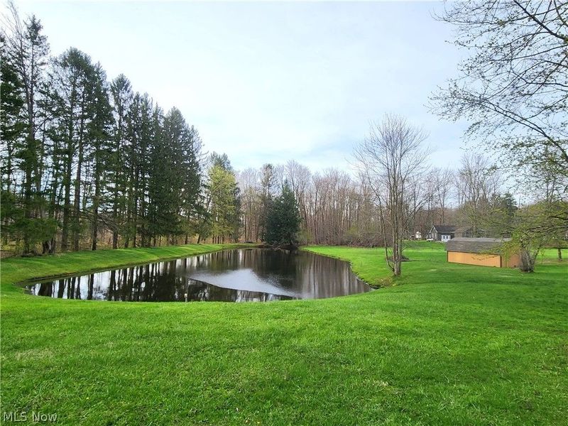 8965 Cedar Road, Chesterland, OH 44026 Photo 44