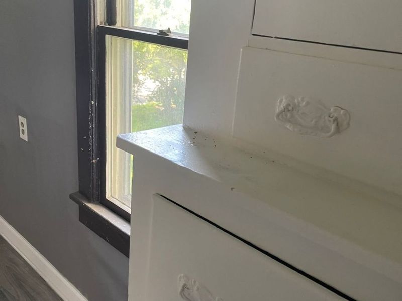 6930 Polonia Avenue, Cleveland, OH 44105 Photo 19