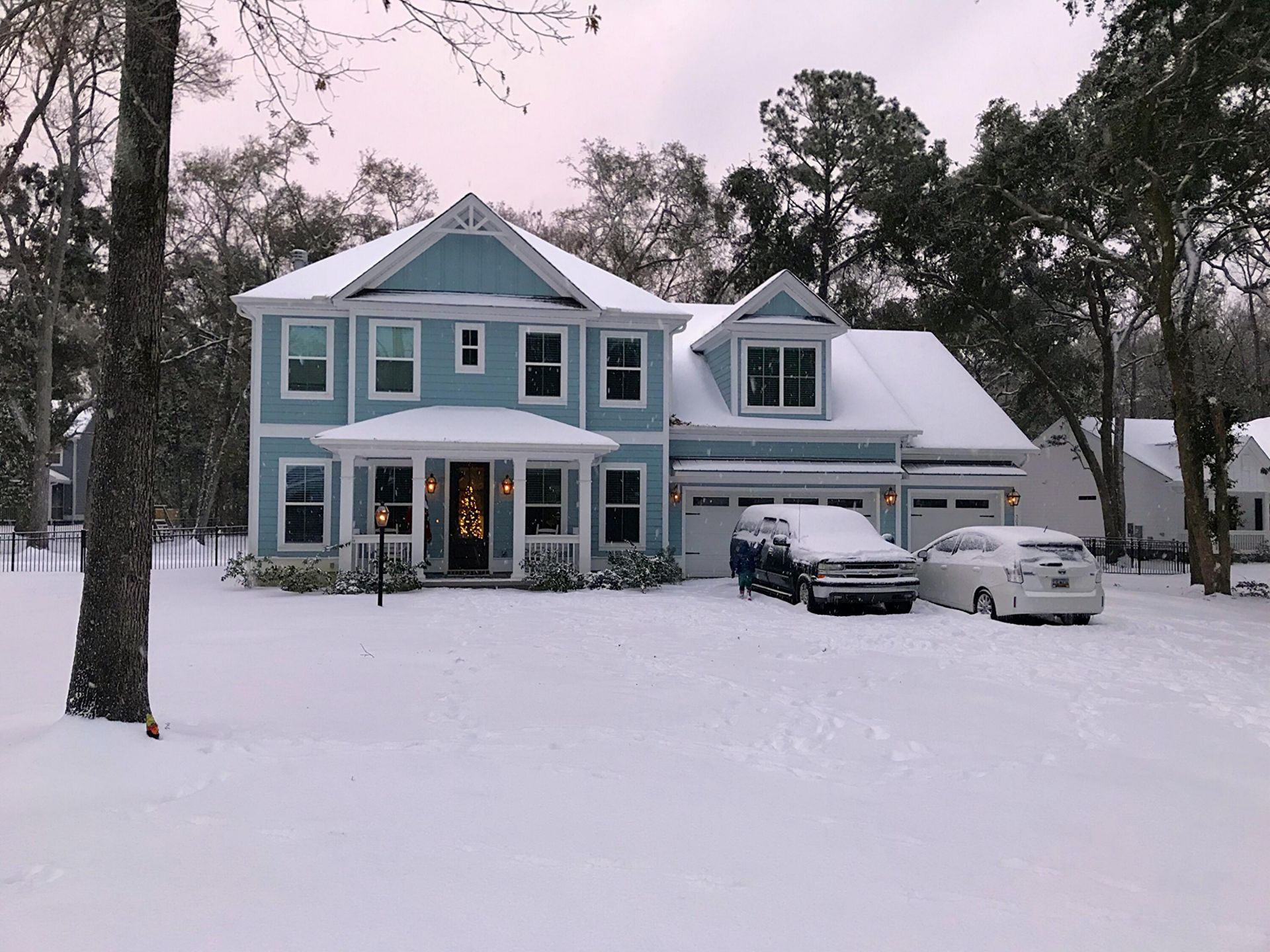 3037 Olivia Marie Lane Photo 40