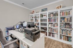 3037 Olivia Marie Lane photo 4