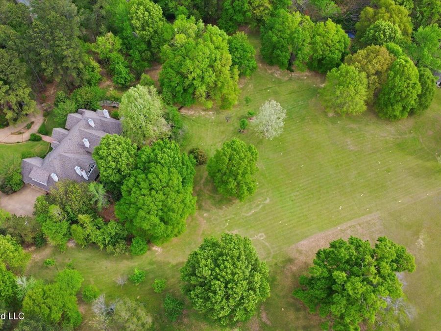 Property Image 81