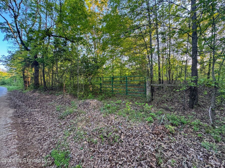 Property Image 56