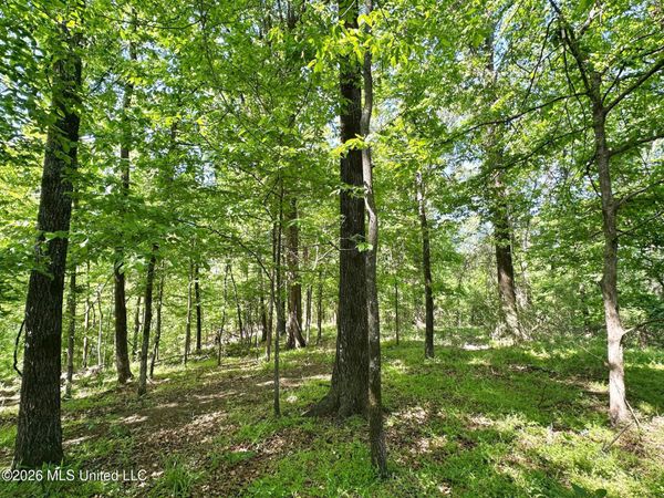 0 Malmaison Road, Carrollton, MS 38917