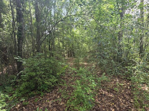 1004 Zone Road, Magnolia, MS 39652