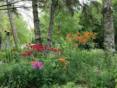 2945 County Road 4 #120 SW, Cokato, MN 55321