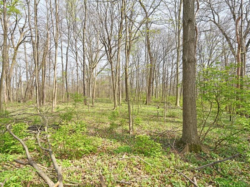 3648 Mt Carmel Road, Anderson Twp, OH 45244 Photo 32