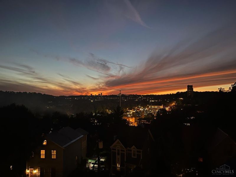 508 Tusculum Avenue, Cincinnati, OH 45226 Photo 59