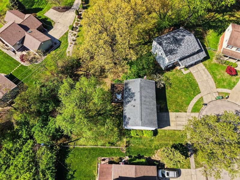 224 Sebastian Court, Delhi Twp, OH 45238 Photo 24