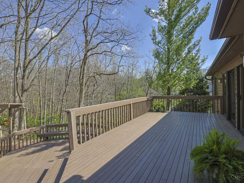 9306 Bluewing Terrace, Blue Ash, OH 45236 Photo 43