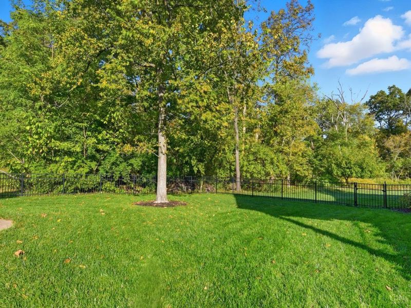 4174 Greenfield Court, Union Twp, OH 45245 Photo 39