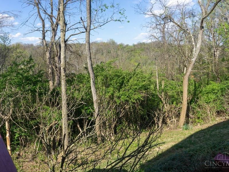 2560 Coveyrun Court, Cincinnati, OH 45230 Photo 47