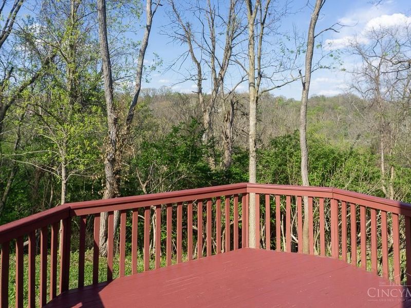 2560 Coveyrun Court, Cincinnati, OH 45230 Photo 51