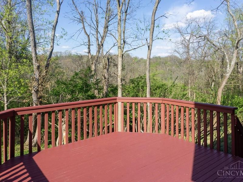 2560 Coveyrun Court, Cincinnati, OH 45230 Photo 54