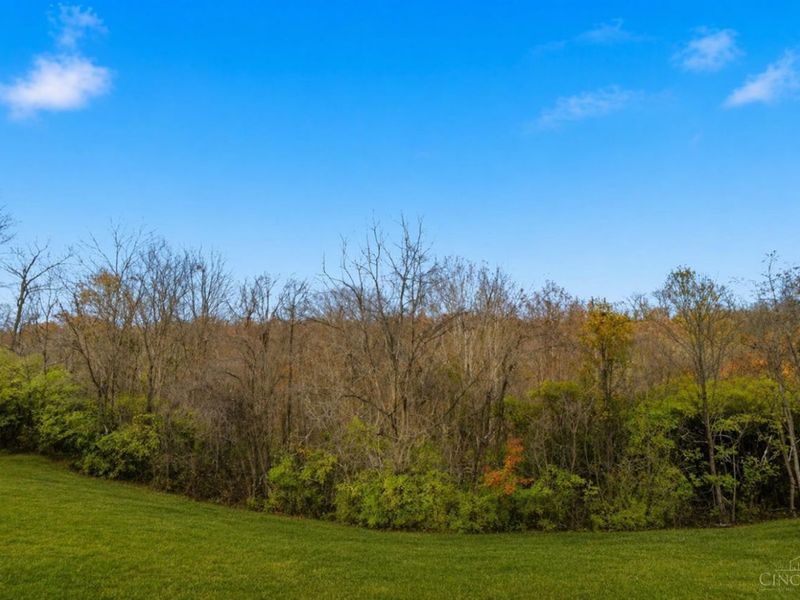 2794 Buckridge Drive, Miami Twp, OH 45233 Photo 52