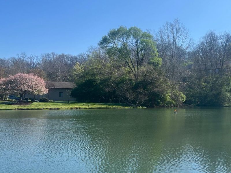 9 White Water Way, Milford, OH 45150 Photo 23