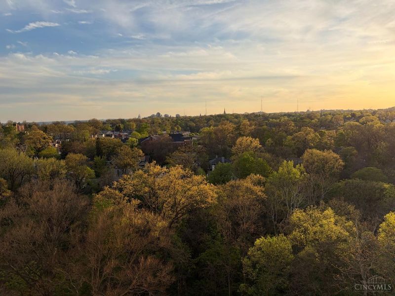 2324 Madison Road, Unit 1208, Cincinnati, OH 45208 Photo 29