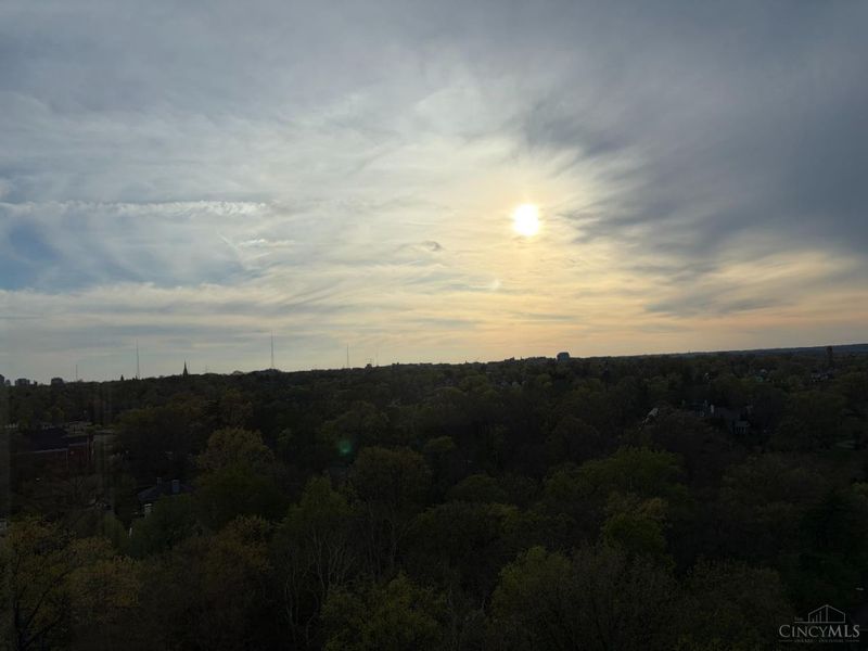 2324 Madison Road, Unit 1208, Cincinnati, OH 45208 Photo 30