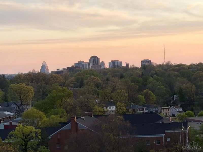 2324 Madison Road, Unit 1208, Cincinnati, OH 45208 Photo 31